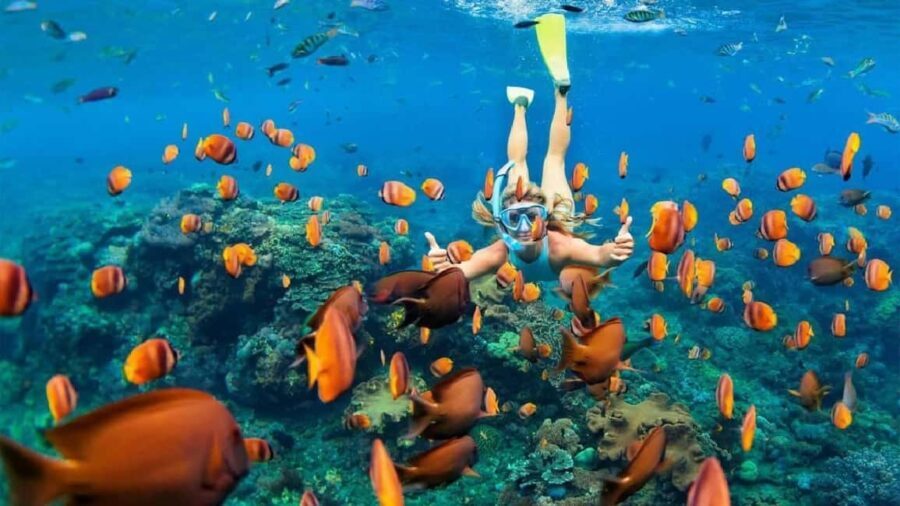 Sharm El Sheikh: Ras Mohammed Snorkeling Boat Tour - What to Know Before Booking