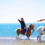 Sharm El Shiekh: Beach and City Desert Horse Riding Tour - Why Youll Love This Tour