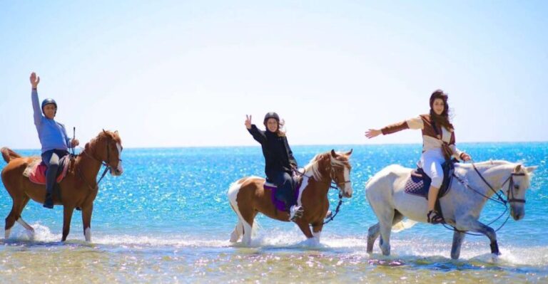 Sharm El Shiekh: Beach and City Desert Horse Riding Tour - Why Youll Love This Tour