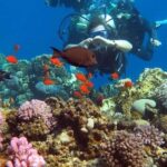 Sharm to Dahab: Colored Canyon, Blue Hole, Qude Bike, Camels - A Closer Look at the Tour Experience