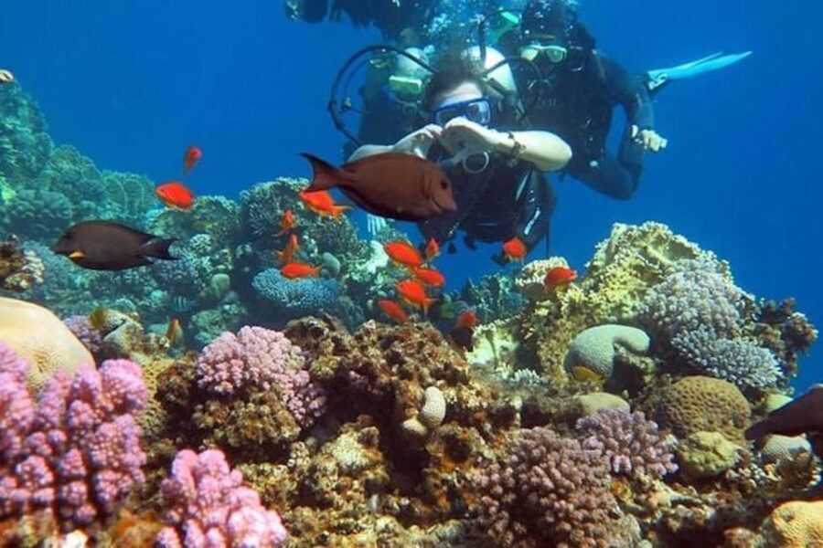 Sharm to Dahab: Colored Canyon, Blue Hole, Qude Bike, Camels - A Closer Look at the Tour Experience