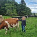 Sheep & Beef Working Farm Private Tour - Transportation and Group Size