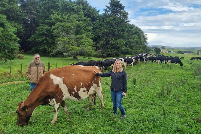 Sheep & Beef Working Farm Private Tour - Transportation and Group Size