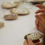 Shell to Showroom - Sydney's only Pearl Farm Experience - What We Loved About the Tour