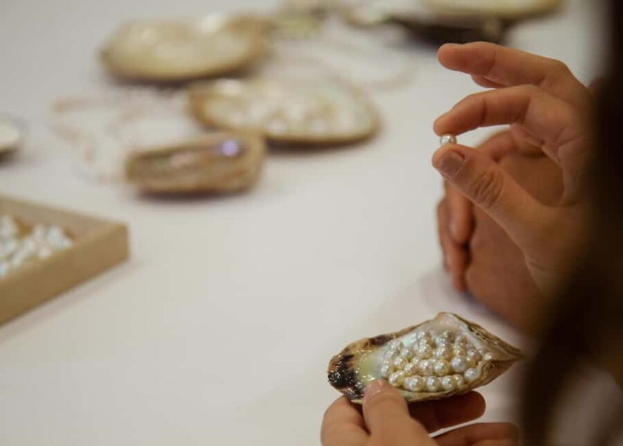 Shell to Showroom - Sydney's only Pearl Farm Experience - What We Loved About the Tour