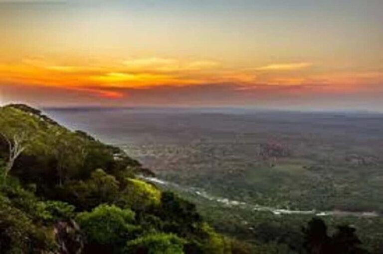 Shimba Hills: Game Drive, Waterfall Hike, and Lunch - Why This Tour Offers Good Value