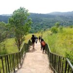 Shimba Hills National Reserve Day Trip from Diani - Whats Included and Whats Not