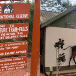 Shimba Hills Reserve Day Trip: From Mombasa and Diani - The Itinerary in Detail