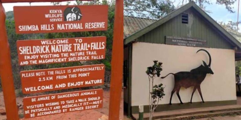 Shimba Hills Reserve Day Trip: From Mombasa and Diani - The Itinerary in Detail