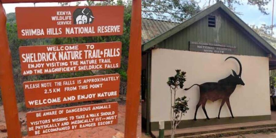 Shimba Hills Reserve Day Trip: From Mombasa and Diani - The Itinerary in Detail