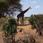 Shimba hills tropical rain forest day trip - The Itinerary: What to Expect