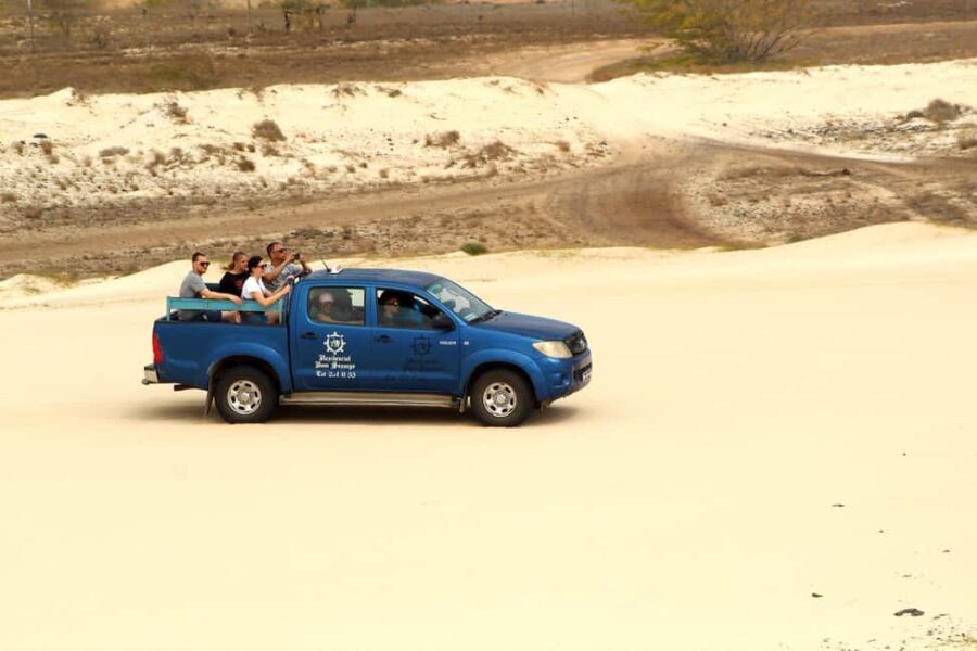 Shipwreck, Viana Desert - sandboarding, City Sal Rei, Olaria in Rabil - Detailed Review of the Tour Experience