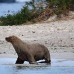 Shoalwater Islands Marine Park Cruise with Lunch - Final Thoughts