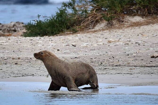 Shoalwater Islands Marine Park Cruise with Lunch - Final Thoughts