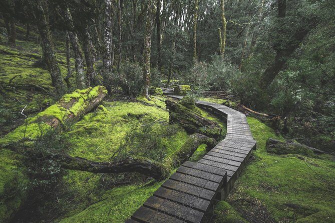 Shore Excursion - Cradle Mountain Shuttle Bus from Burnie - Transportation and Group Size