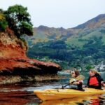 Shore Excursion Guided Sea Kayaking through Akaroa Marine Reserve - The Itinerary in Detail