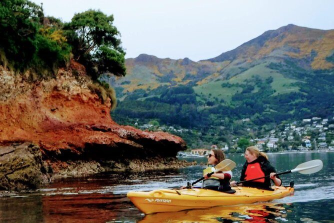 Shore Excursion Guided Sea Kayaking through Akaroa Marine Reserve - The Itinerary in Detail