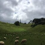 Shore Excursion: Half-Day Auckland Volcanoes Tour - Why This Tour Is Worth Considering