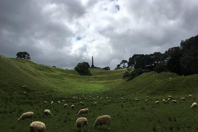 Shore Excursion: Half-Day Auckland Volcanoes Tour - Why This Tour Is Worth Considering