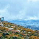 Shore Excursion: Hobart Wanderer - What Sets This Tour Apart?
