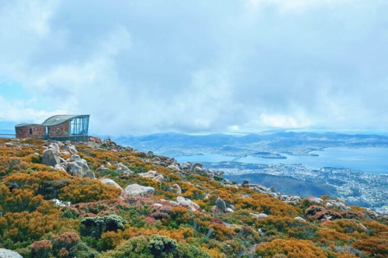 Shore Excursion: Hobart Wanderer - What Sets This Tour Apart?