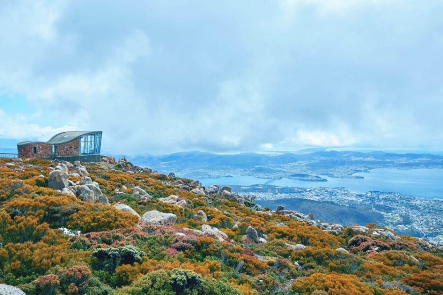 Shore Excursion: Hobart Wanderer - What Sets This Tour Apart?