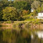 Shore Excursion to Historic Kerikeri including Lunch - Who is This Tour Best For?