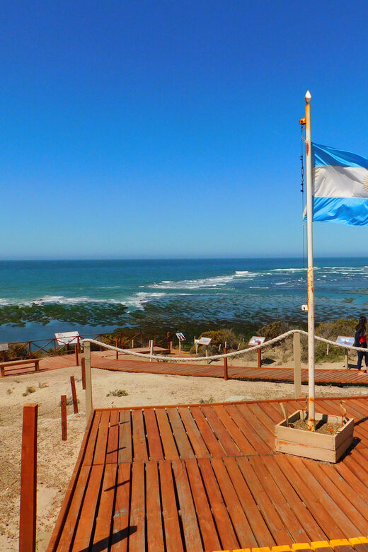 Shore Tours Peninsula Valdes Puerto Madryn Cruise Passengers - Optional Activities and Additional Costs