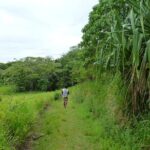 Sigatoka Sand Dune and Water Fall Nature Tour Ex Nadi Sigatoka - The Journey to Biausevu Waterfall