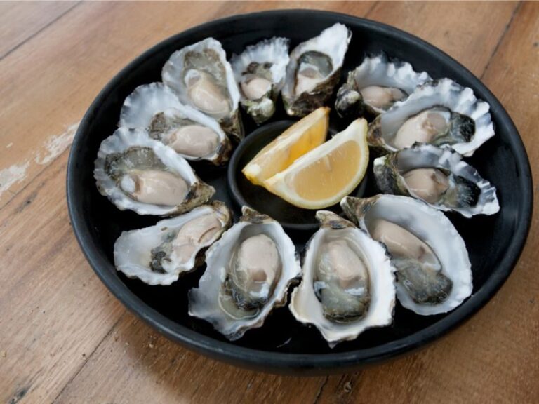 Signature Bruny Island Tour - Hobart & SE Tasmania - What Makes This Tour Special?