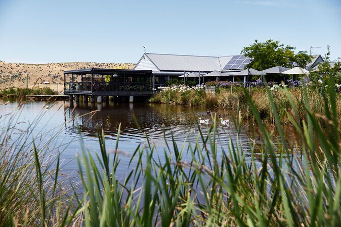 Signature Saturday Wine Tour - Practical Tips for Booking and Participating