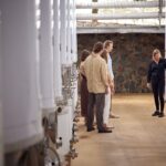 Sirromet Winery Tour and Taste and 2 Course Lunch - Why This Tour Is Worth Considering