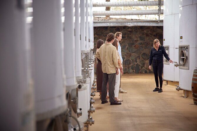 Sirromet Winery Tour and Taste and 2 Course Lunch - Why This Tour Is Worth Considering