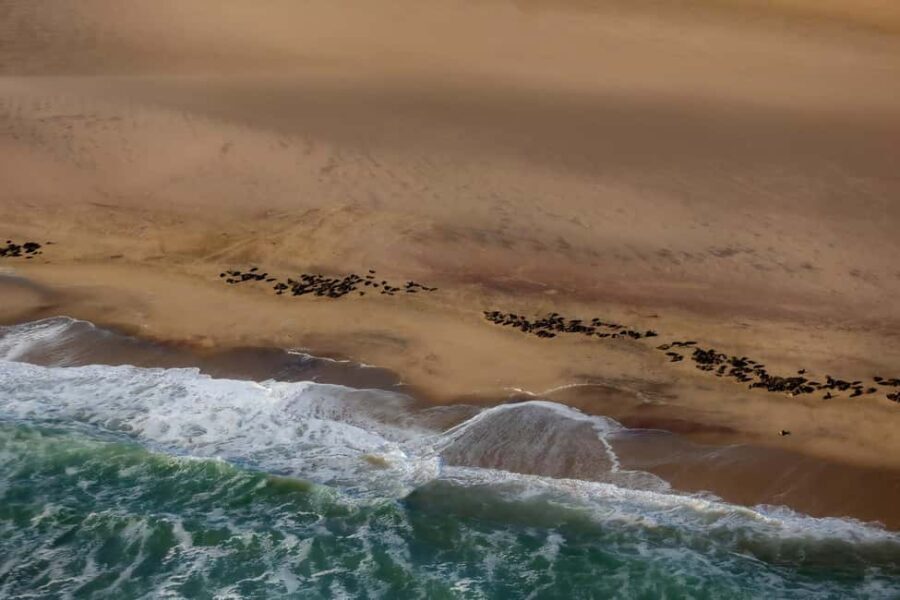 Skeleton Coast Park & Ship Wrecks - Exploring Namibia’s Skeleton Coast: What to Expect