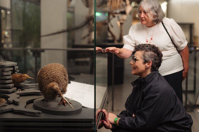 Skip the Line: Auckland Museum General Admission Ticket - Exploring the Three Floors