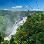 Skyrail Rainforest Cableway Day Trip from Port Douglas - What’s Included and What to Consider