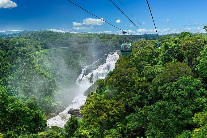 Skyrail Rainforest Cableway Day Trip from Port Douglas - What’s Included and What to Consider