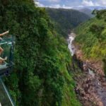 Skyrail Rainforest Cableway Round-Trip Experience - What We Love About the Skyrail Rainforest Cableway