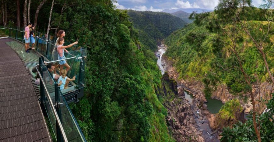 Skyrail Rainforest Cableway Round-Trip Experience - What We Love About the Skyrail Rainforest Cableway