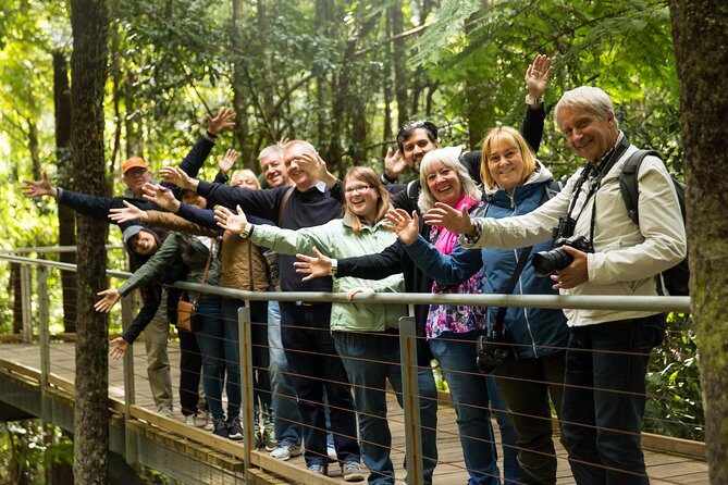 Small All-Inclusive Blue Mountains, Scenic World, Lunch, Cruise - Considerations for Your Trip