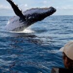 Small Boat Whale Watching Tour in Gold Coast - Final Thoughts: Is This Tour Worth It?