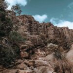 Small Group (8 ppl ) - Grampians Hiking Day Tour from Melbourne - What Reviewers Say About the Guides