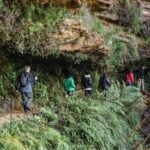 Small Group Blue Mountains Wildlife & Bushwalk Tour From Sydney - Authentic Experiences and Insider Tips