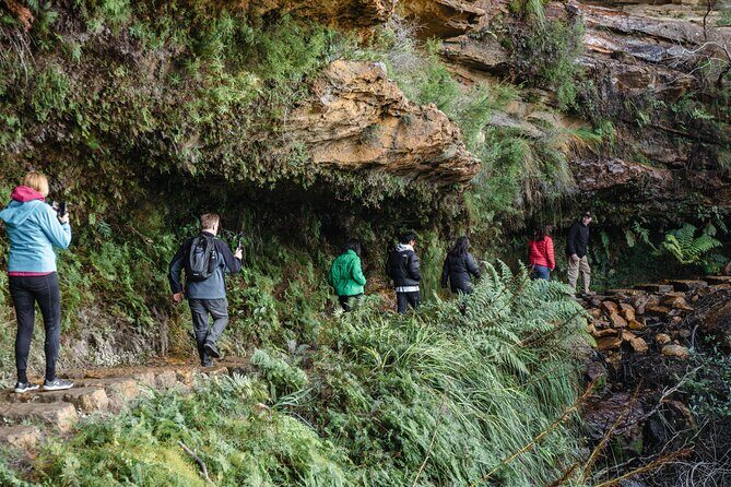 Small Group Blue Mountains Wildlife & Bushwalk Tour From Sydney - Authentic Experiences and Insider Tips