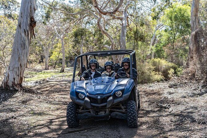 Small-Group Buggy Tour at Little Sahara with Guide - What to Expect During the Ride