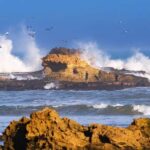 Small-Group Day Trip from Marrakech to Essaouira Mogador - Highlights of the Tour