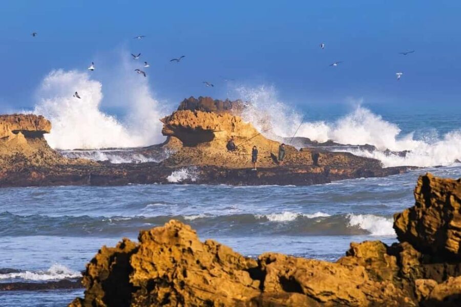 Small-Group Day Trip from Marrakech to Essaouira Mogador - Highlights of the Tour