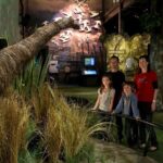 Small Group Daytime 2-Hour Eco Wildlife Tour at Zealandia - The Itinerary: What to Expect from Start to Finish