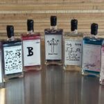 Small-Group Gin Making Lesson with Lunch in Barossa - Who Would Enjoy This Tour?