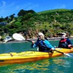 Small group guided sea kayaking in Akaroa marine reserve - Who is This Tour Best For?